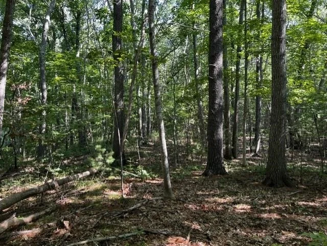 Photo of 271 Atlantic