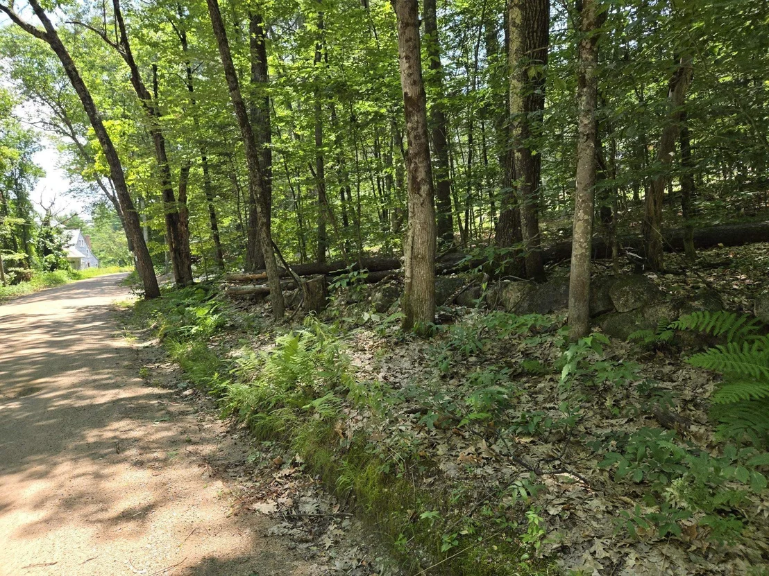 Photo of Lot 26 Davis Hill