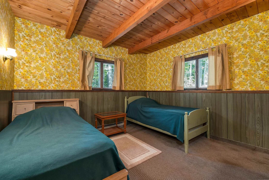 Photo of 49 Kings Pine