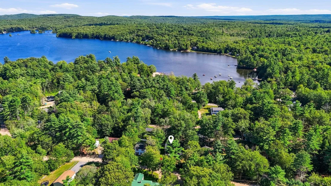 Photo of 12 Pine