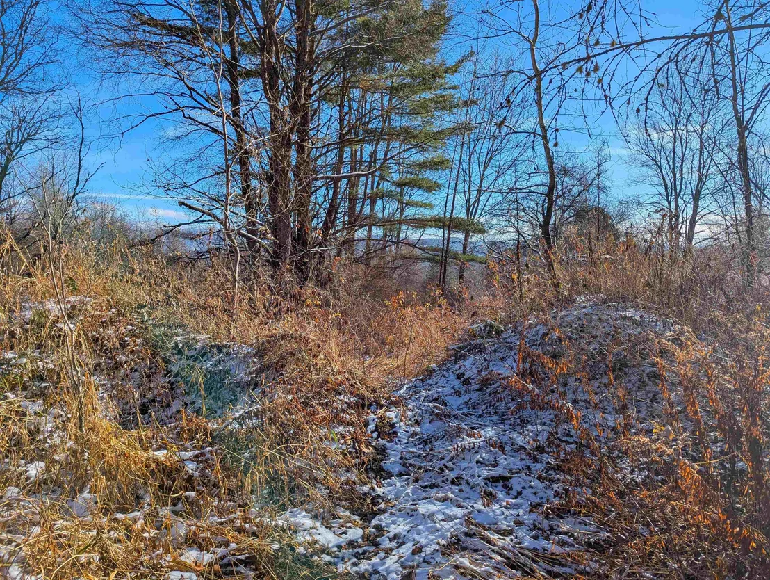 Photo of 00 Pudding Hill