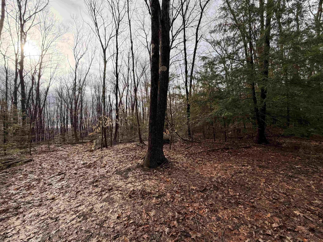 Photo of 0 Old Walpole/Valley View