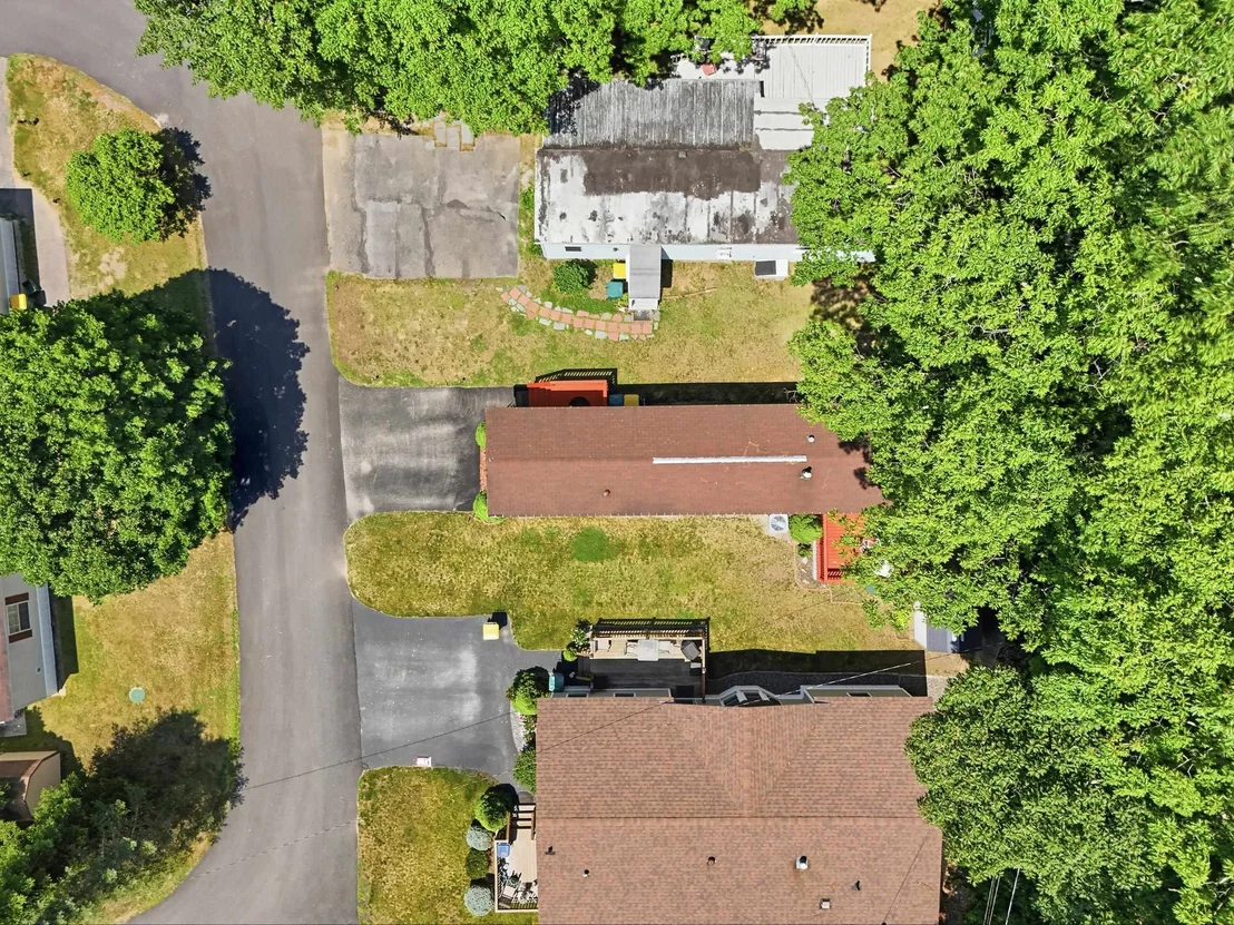 Photo of 20 Black Forest