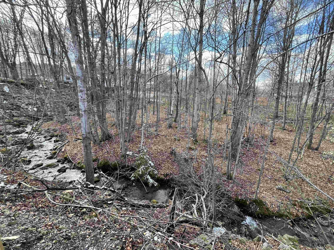 Photo of 67 Brook