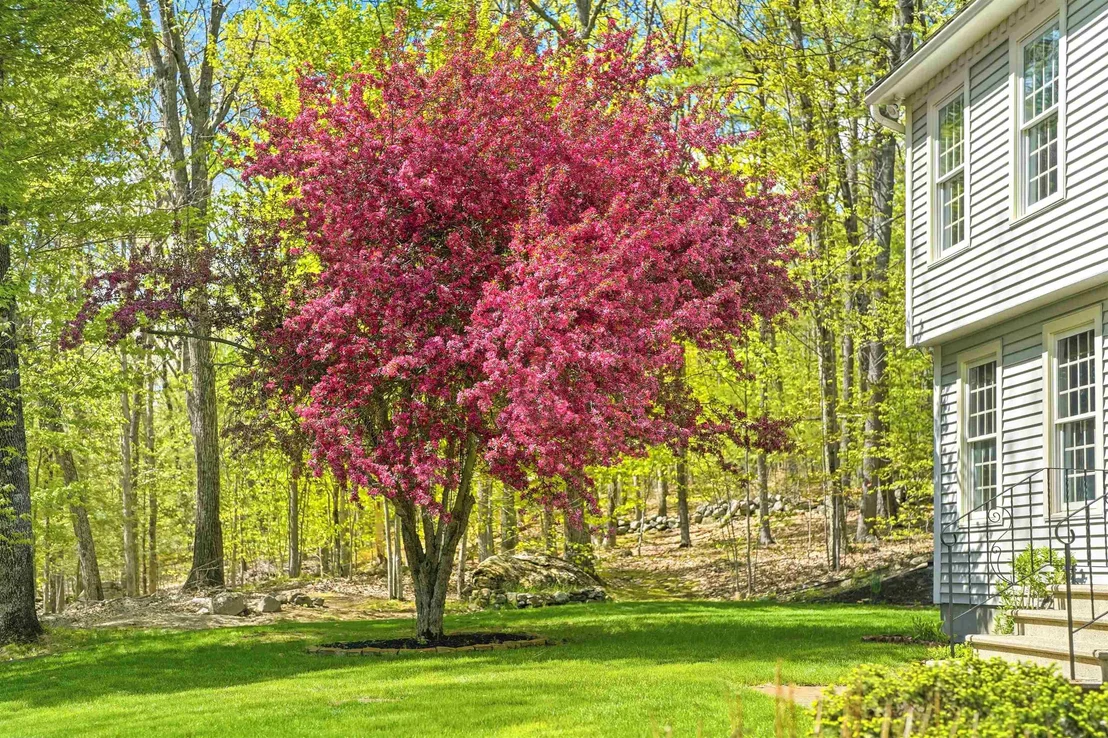 Photo of 33 Brook
