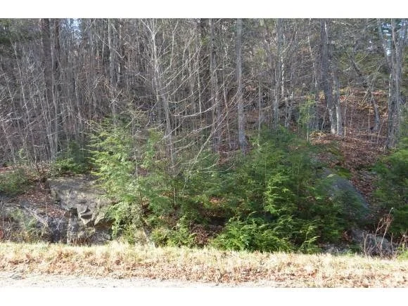 Photo of Unit LOT33 at 0 Woods Road West