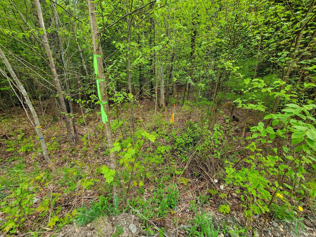 Photo of 720 Brookview