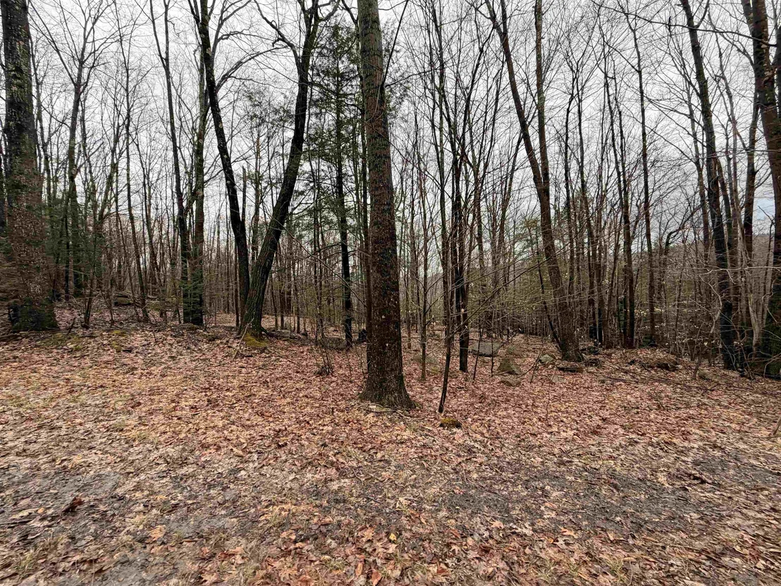 Photo of 0 Old Walpole/Valley View