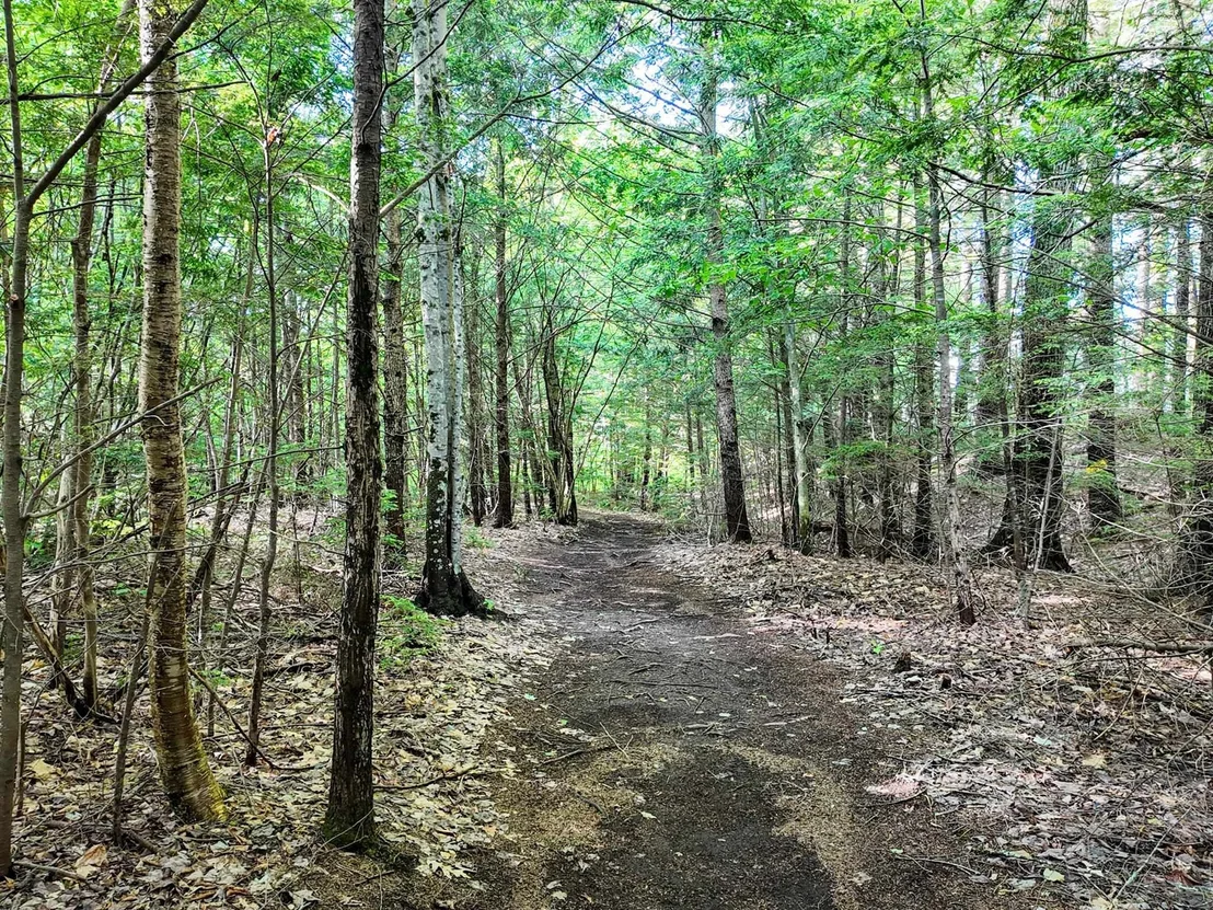 Photo of Map 264 Lot 65 Oxbow