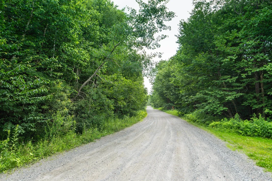 Photo of 31 Woodsman