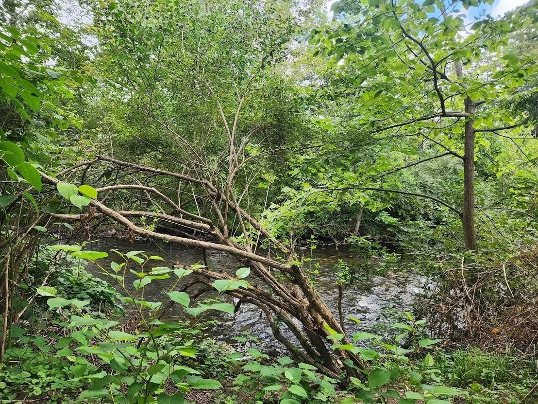 Photo of 115 River