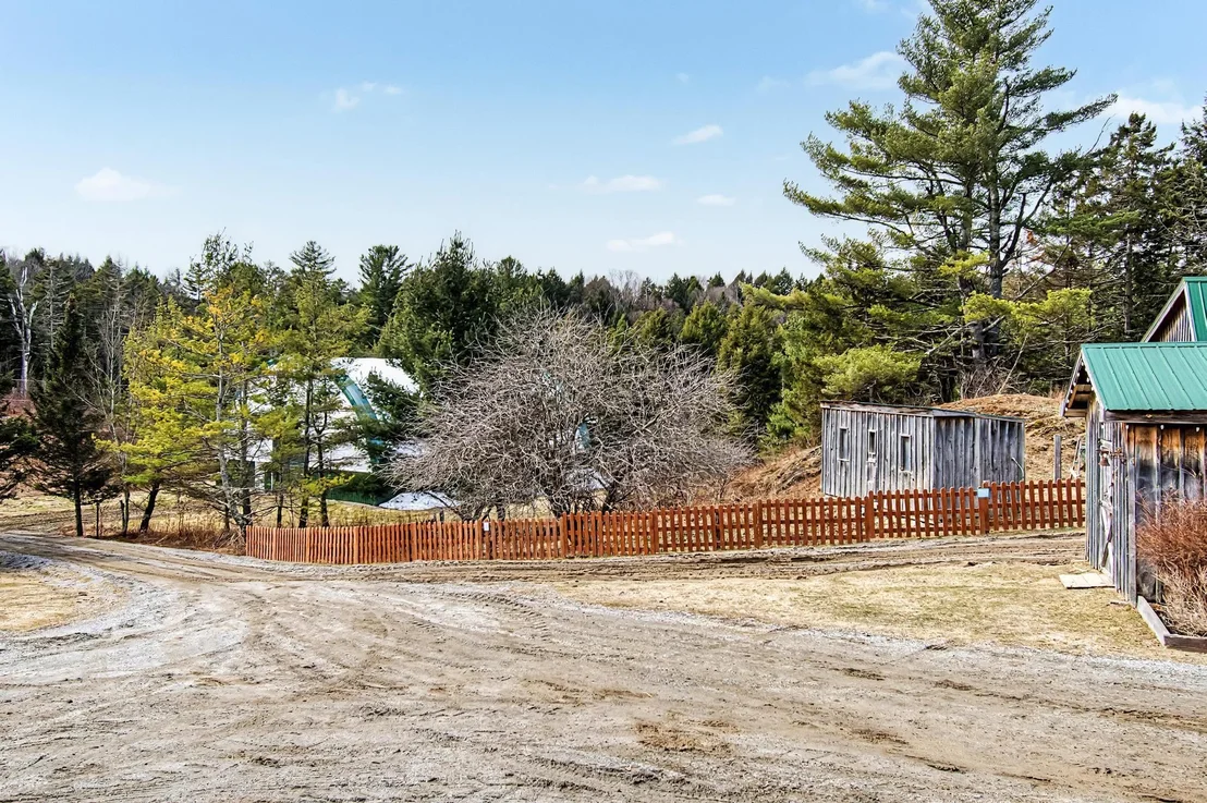 Photo of 984 Pollander