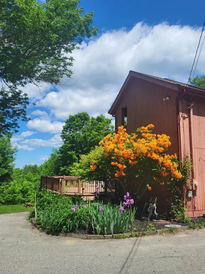 Photo of 55 Sunset Paradise