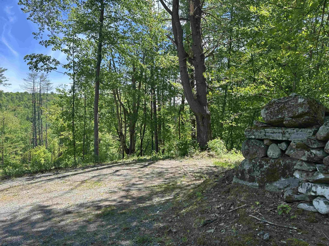 Photo of 14 Sugar Lot