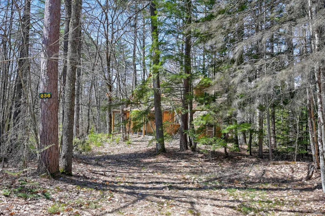 Photo of 236 Thompson