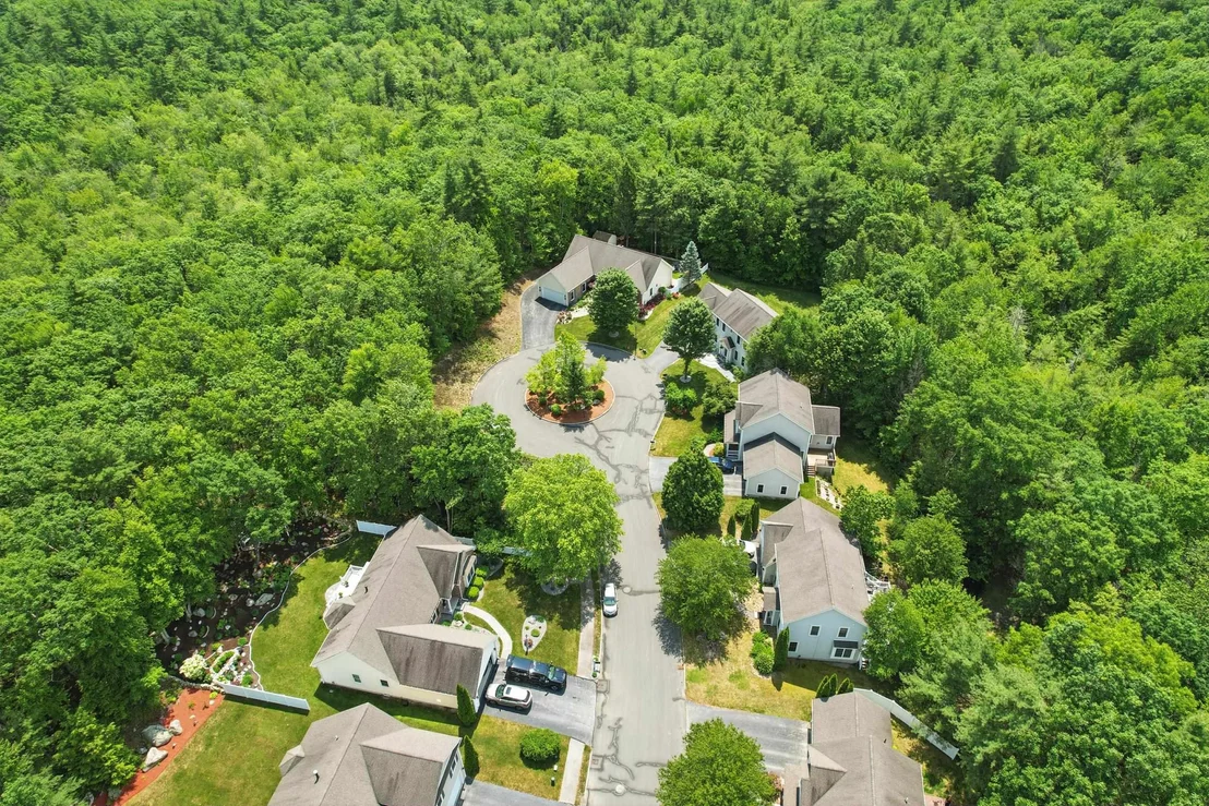Photo of 55 River Birch