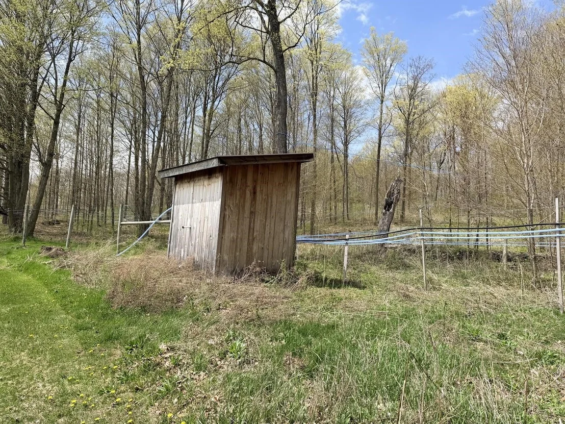 Photo of 3145 Richville