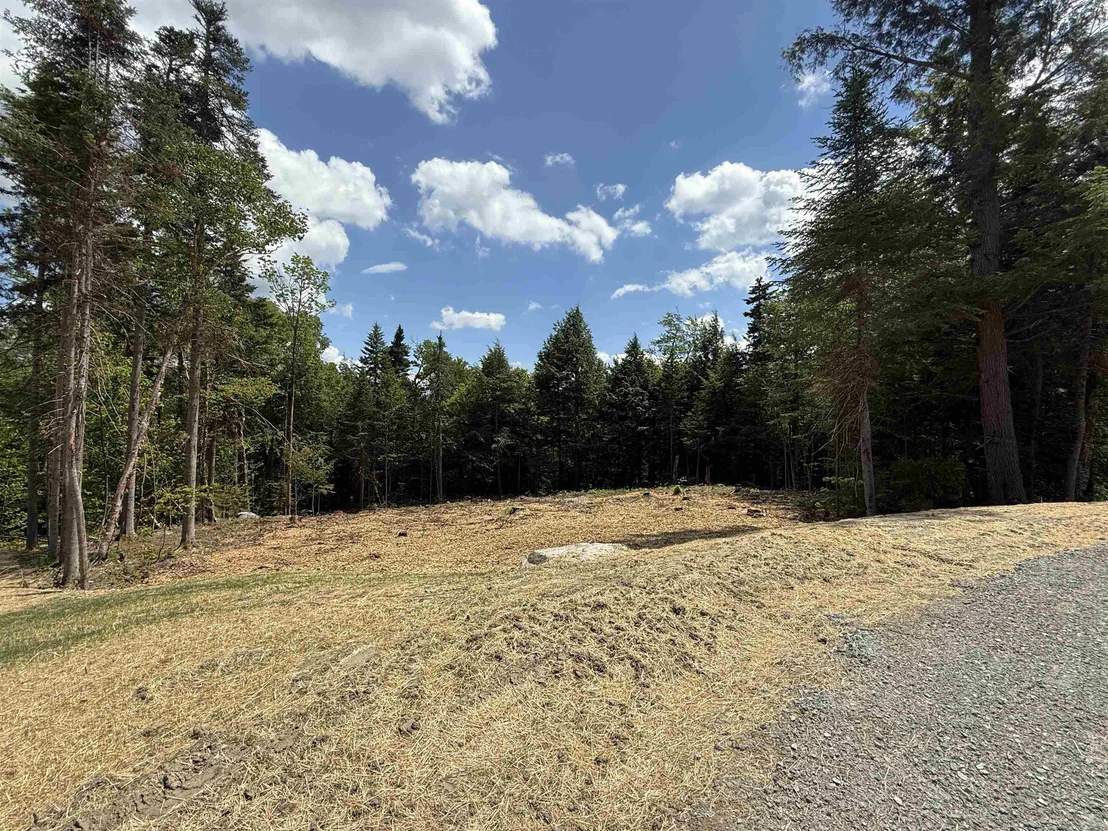Photo of 93 Mirror Lake