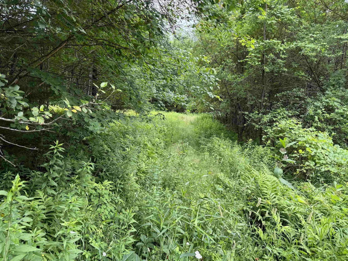 Photo of 90 Stone Hill