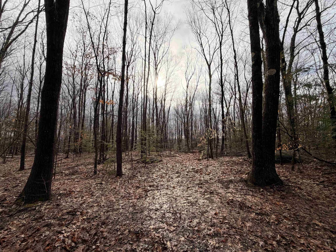 Photo of 0 Old Walpole/Valley View