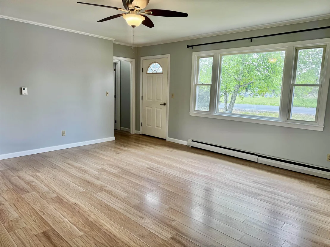 Photo of 152 Blue Spruce