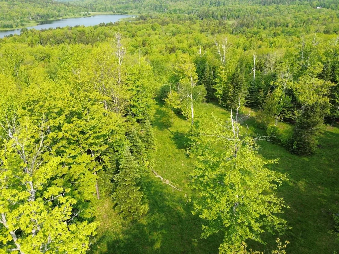 Photo of 48 Alberts