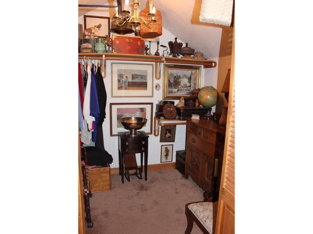 Photo of 3 Juniper