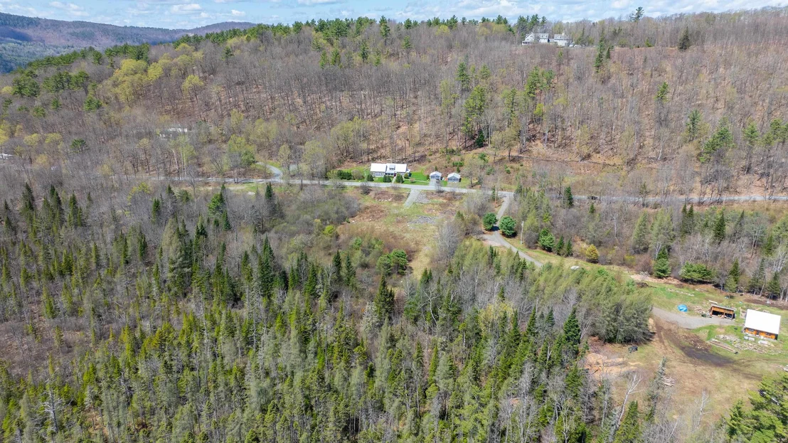 Photo of 491 Mount Eustis
