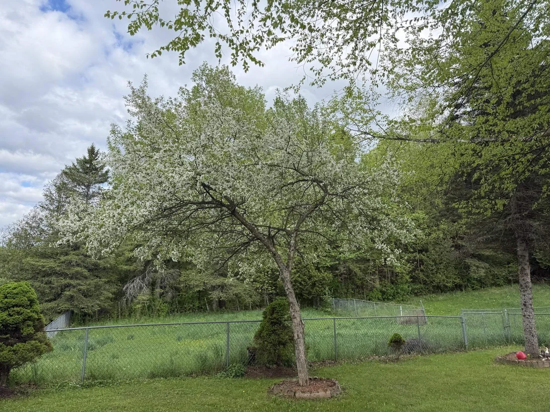 Photo of 3724 Vt Route 105