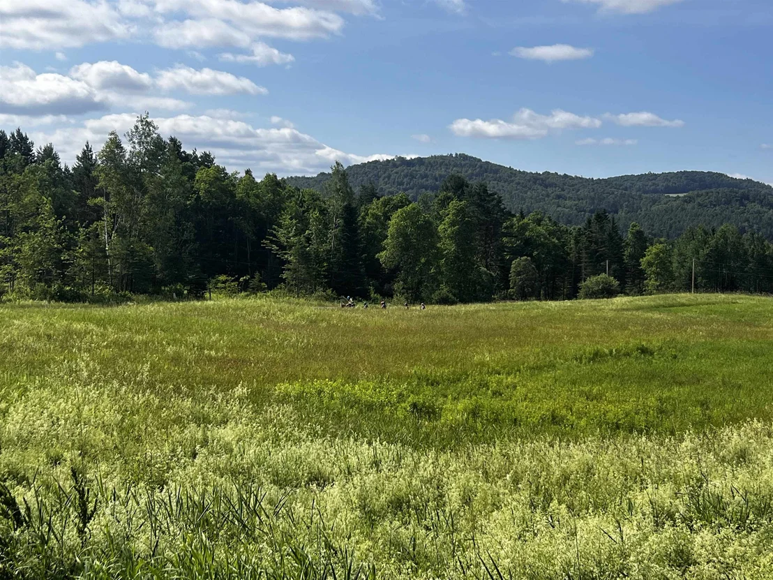 Photo of 0000 Darling Hill