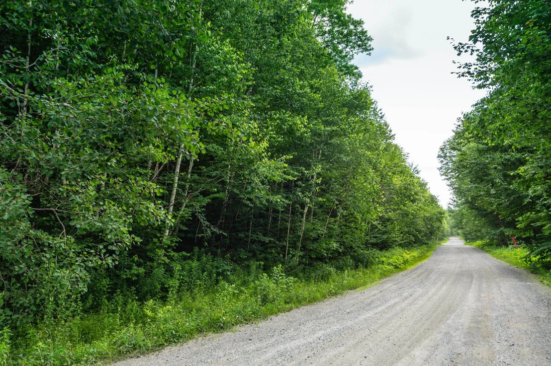 Photo of 31 Woodsman