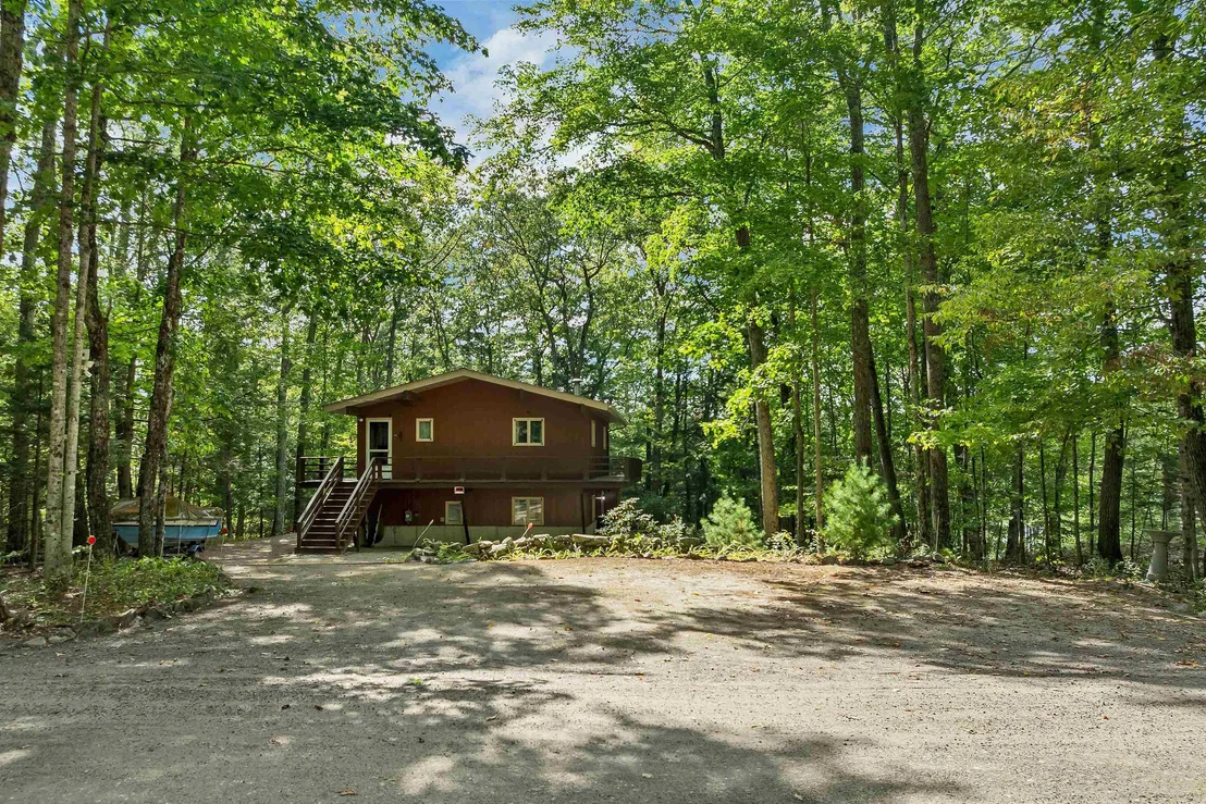 Photo of 49 Kings Pine