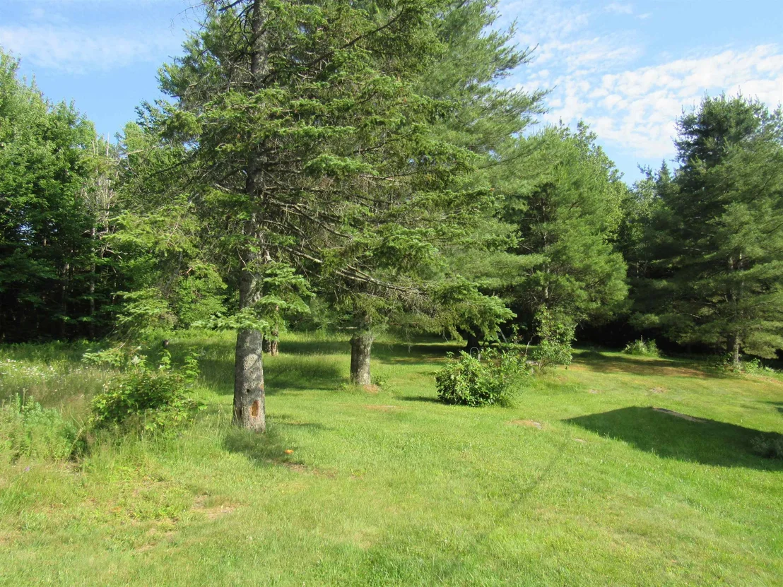 Photo of 21 Maple Hill