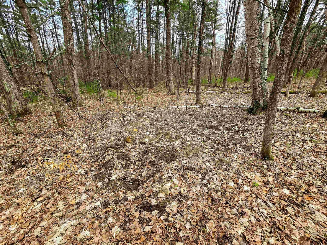 Photo of 765 Camp