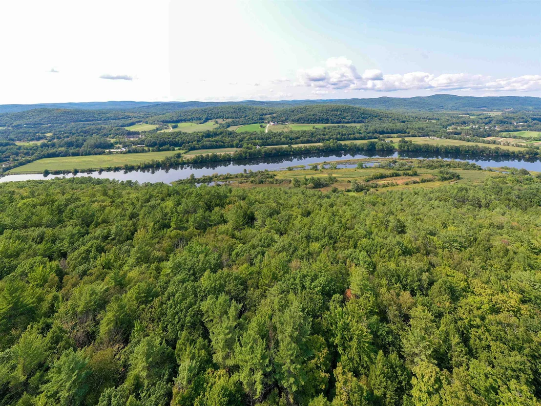 Photo of 202 River
