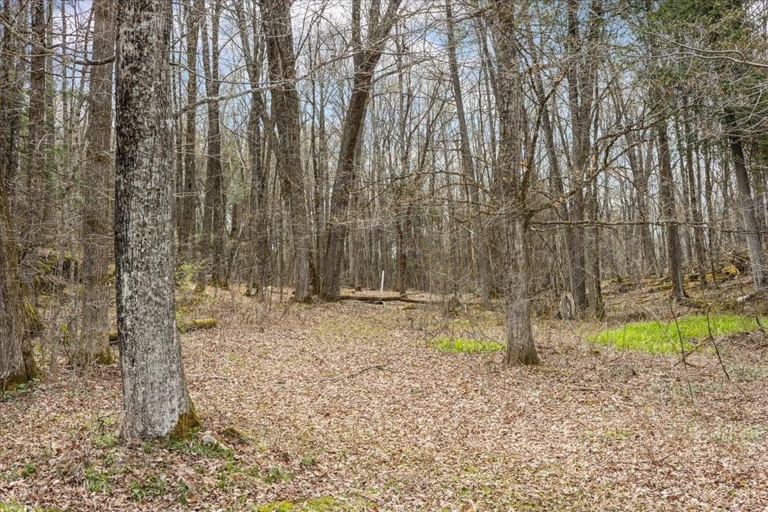 Photo of Unit LOT1 at 0 Bullock