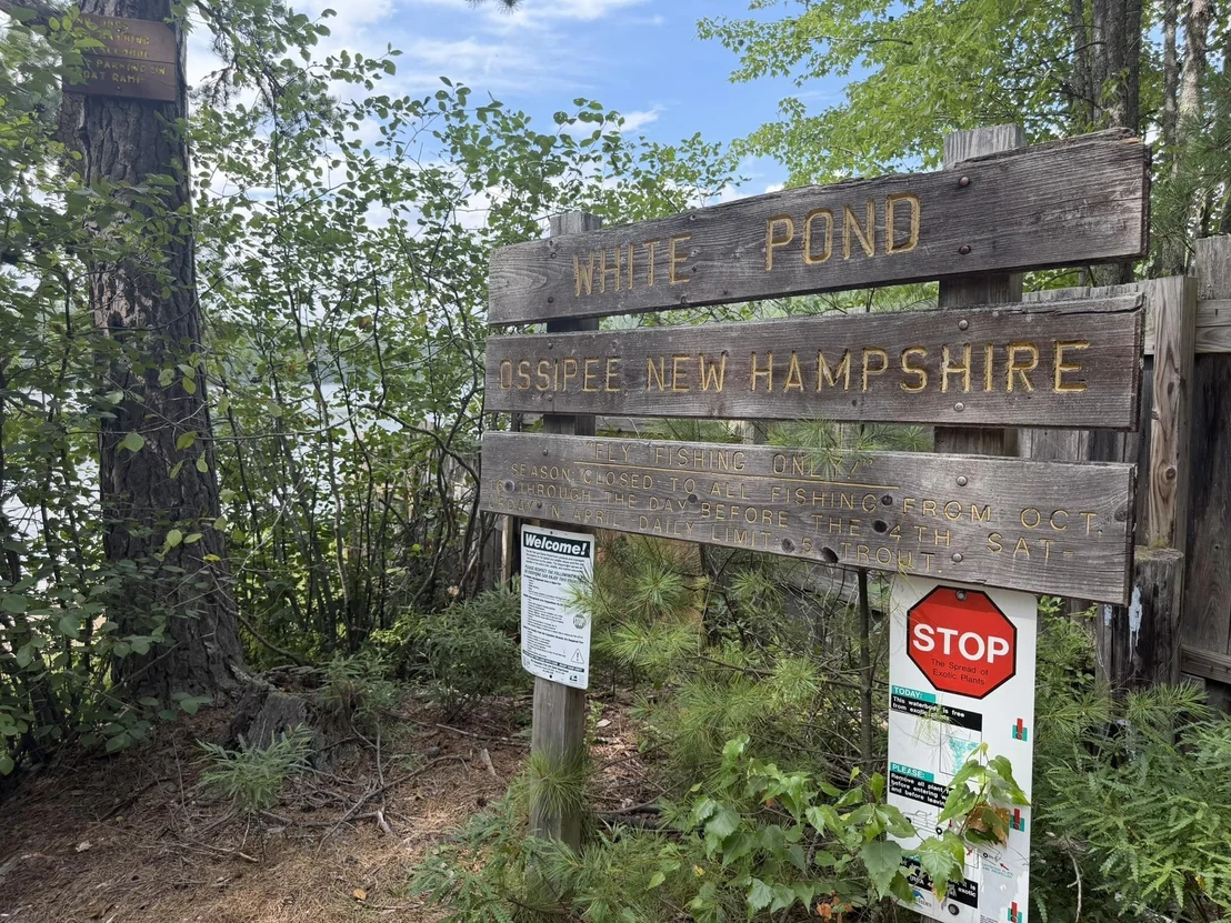 Photo of 53 White Pond