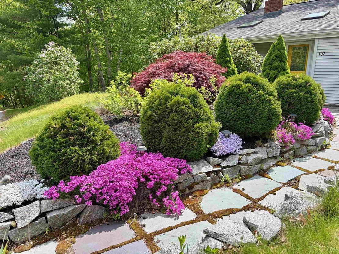 Photo of 107 Hackett Hill