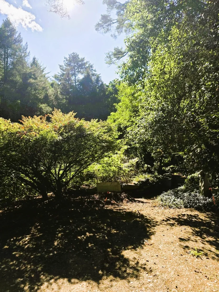Photo of 1107 Broad Brook