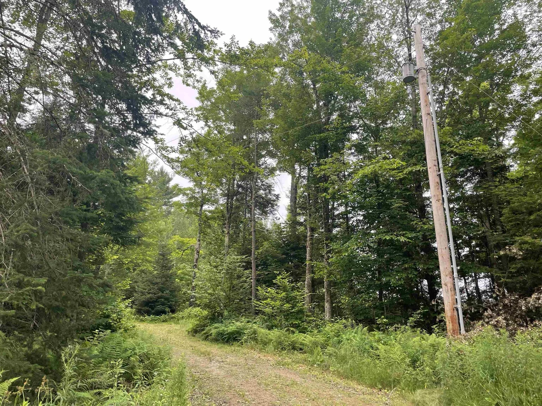 Photo of 130 Stevens