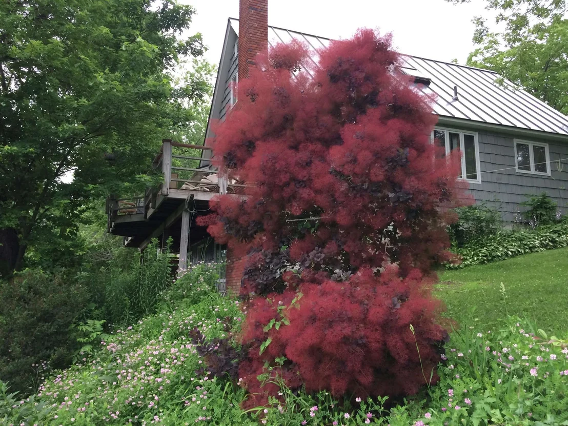 Photo of 289 Lamb Hill