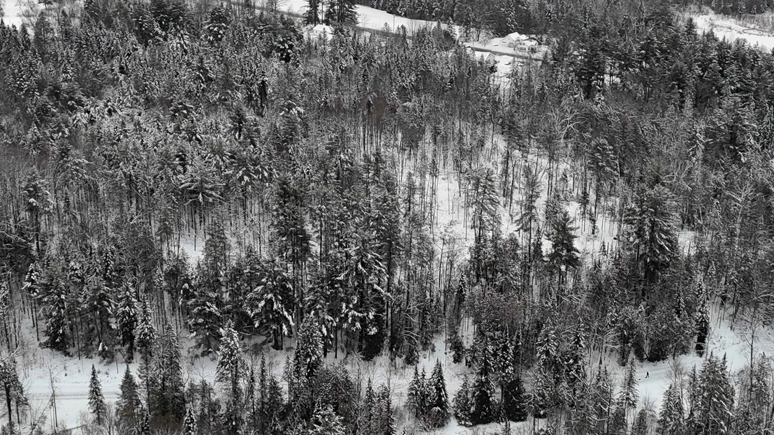 Photo of 00 Wheelock