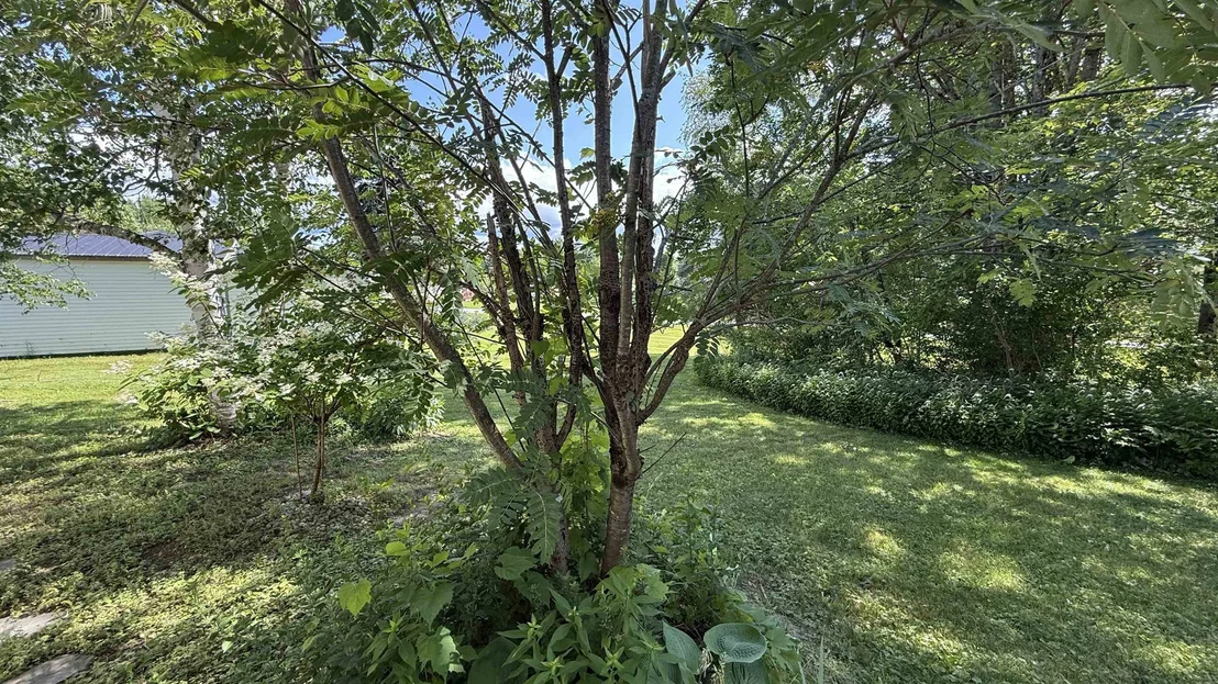 Photo of 45 Oakwood