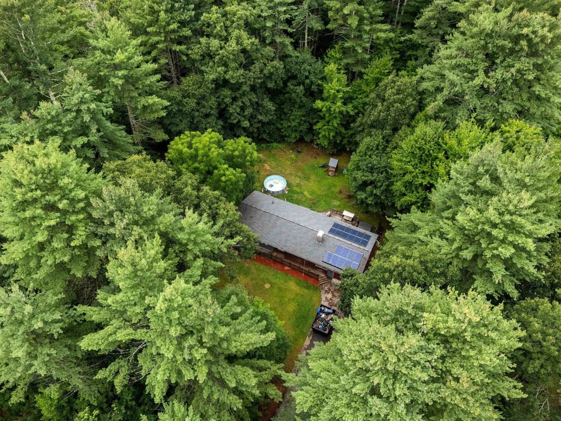 Photo of 6 Juniper