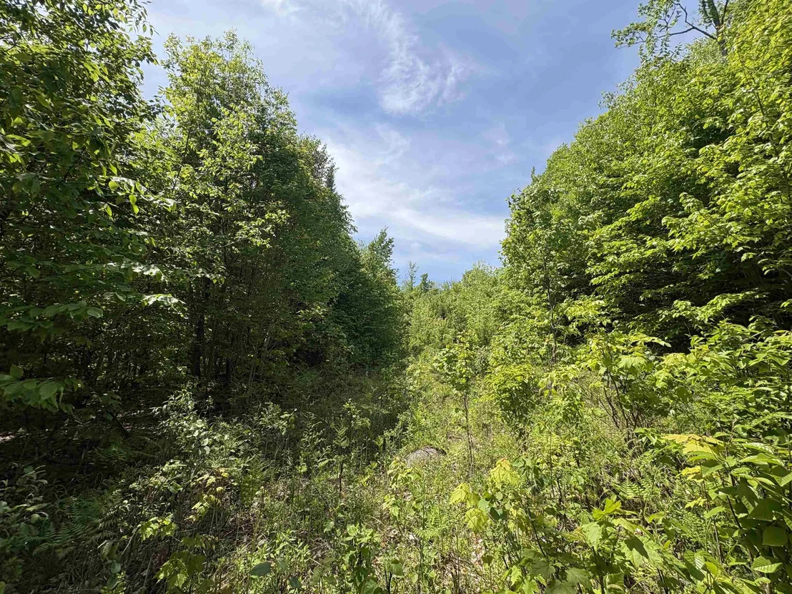 Photo of 0 Old Pond Hill