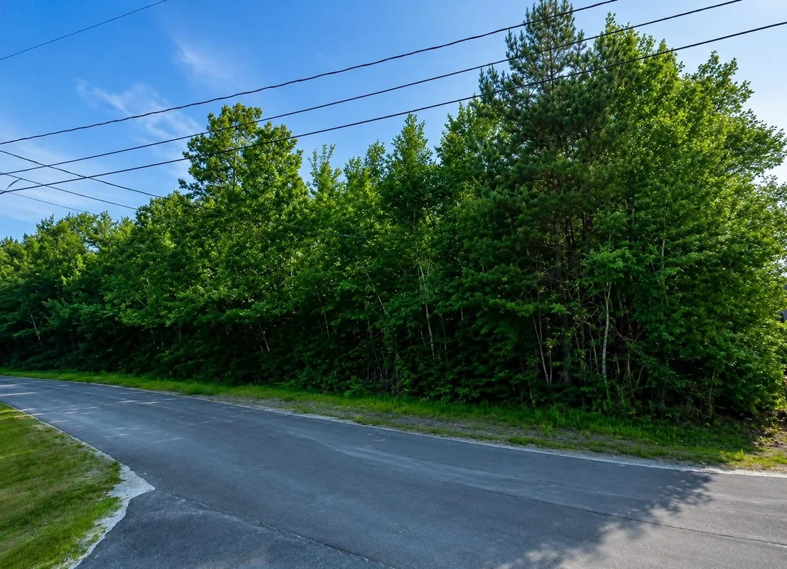 Photo of 00 Ridgeview
