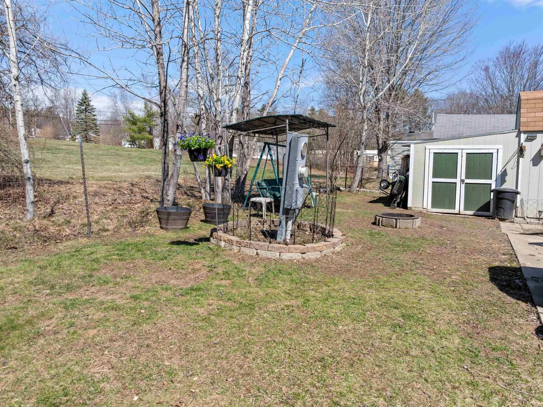 Photo of 7 Lilac