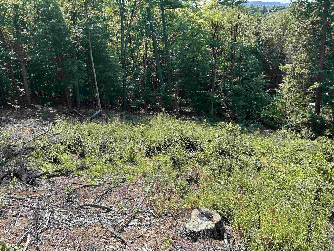 Photo of 543 Thorn Hill