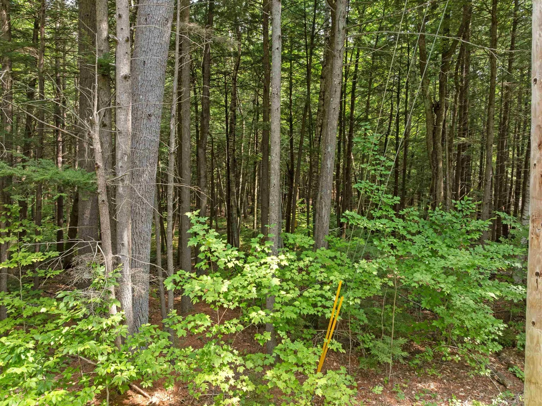 Photo of 32 Forest Pond