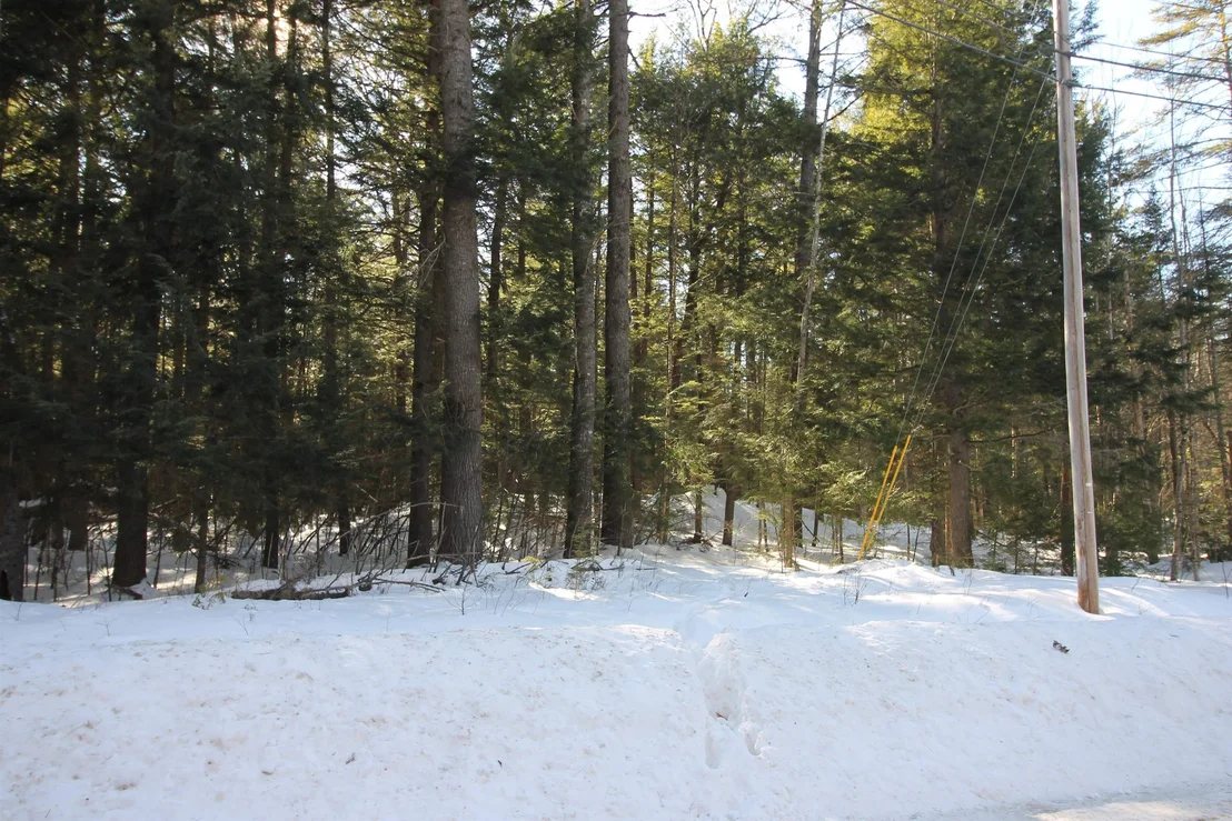 Photo of 00 Covered Bridge